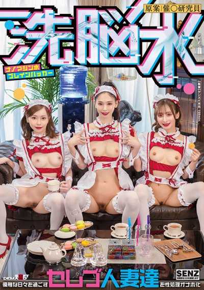 洗腦水 奈米機器人水腦部駭客 將過著優雅日子的名媛人妻們變成性處理飛機杯